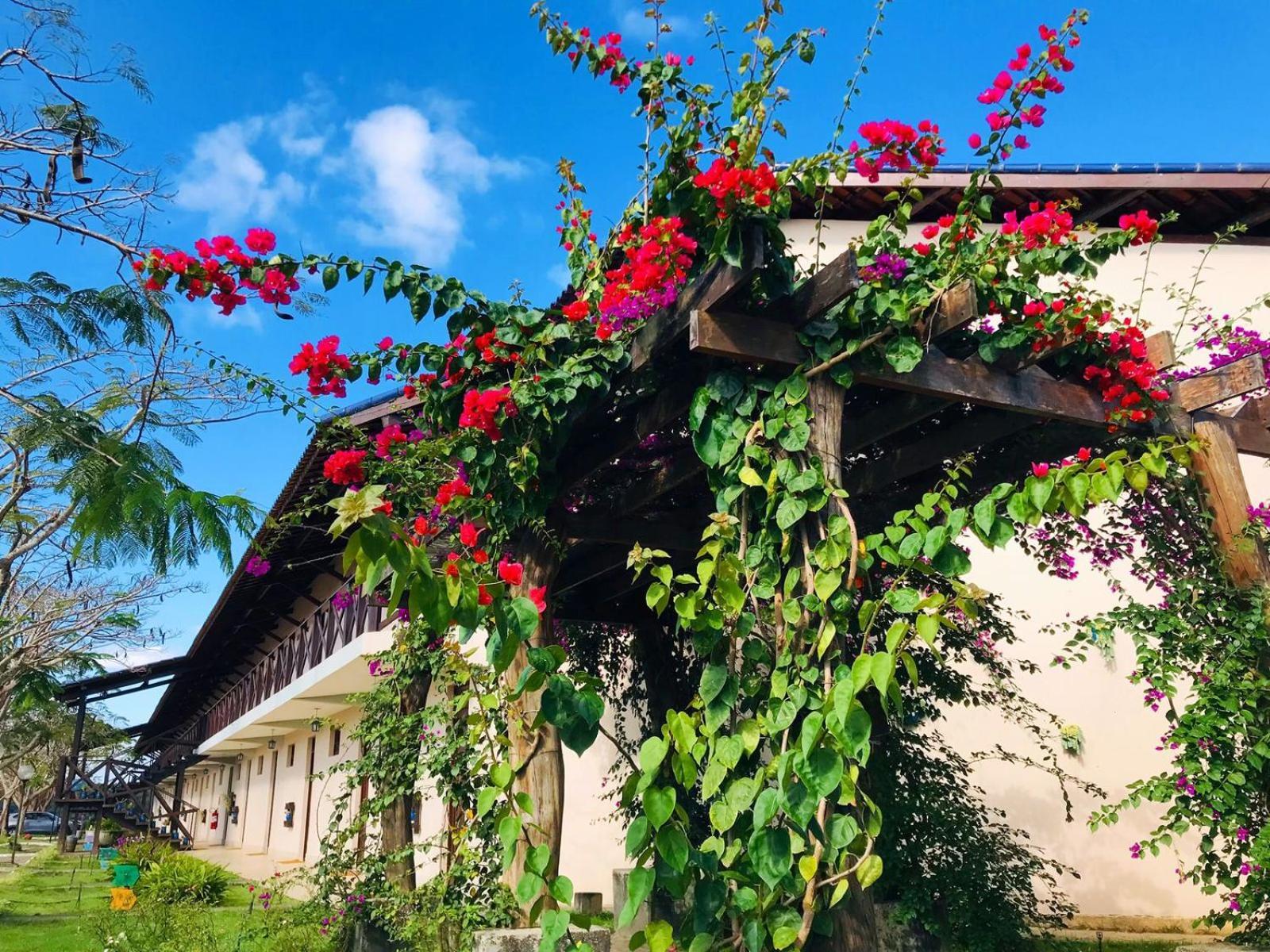 Hotel Fazenda Triunfo Арея Екстер'єр фото