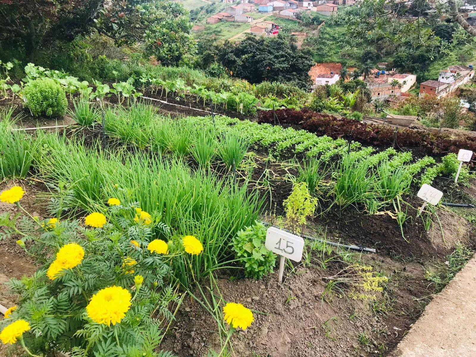 Hotel Fazenda Triunfo Арея Екстер'єр фото